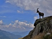 Alle sorgenti del Brembo, in quota dal Calvi al Longo il 2 agosto 2022 - FOTOGALLERY